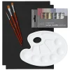 Beginners Acrylic Metallic Paint Kit, alt til nybegynderen, som vil begynde at male med akrylfarve