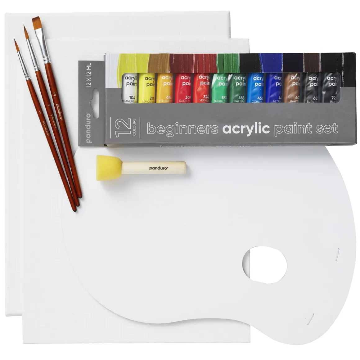 Beginners Acrylic Paint Kit, alt til nybegynderen, som vil begynde at male med akrylfarve