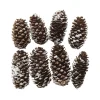 Brune kogler med dekorationssne, 8 stk. Ø2-2,5 cm, længde 5-6 cm