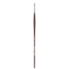 College 8730 Round Brush 4