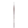 College 8730 Round Brush 2