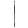 College 8730 Round Brush 6