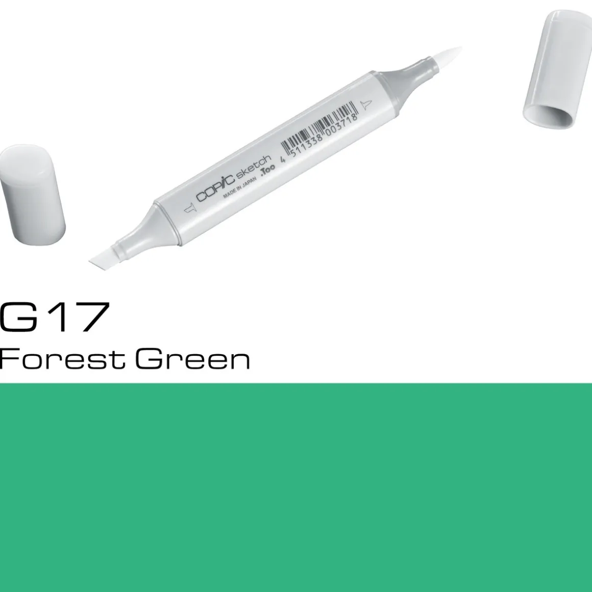 Copic Sketch G17 Forest Green