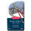 Derwent pastelblyanter 12 stk.