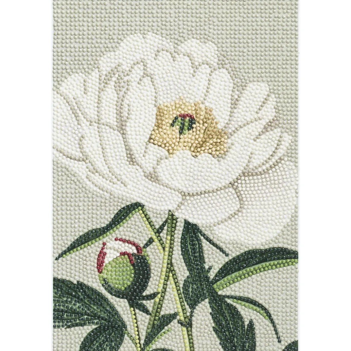 Diamond Painting pæon, 20×30 cm lærred + perler, silikone og pincet