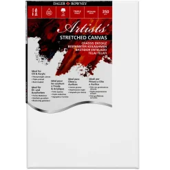 DR Artists' Canvas 20x30