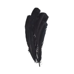 Fjer 30 cm 15 stk. sorte