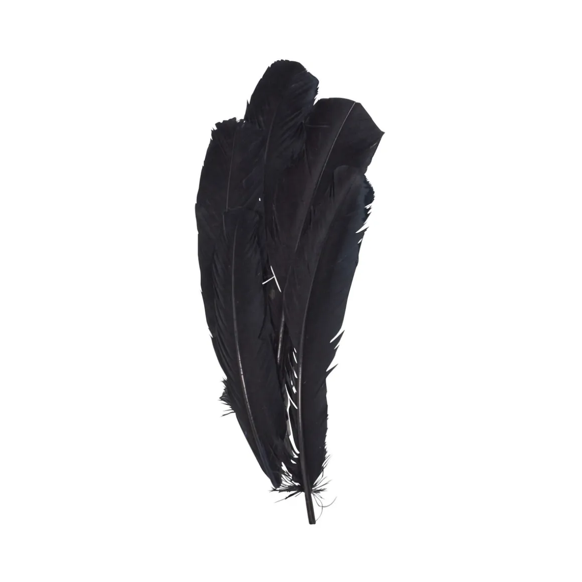 Fjer 30 cm 15 stk. sorte