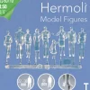 Hermoli stående figurer 1:50