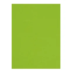 Hobbykarton 10-pak, A4 (210×297 mm), 220 g/m² – grøn