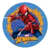 Kagebillede 20 cm Spiderman