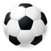 Kagebillede fodbold Ø15,5 cm