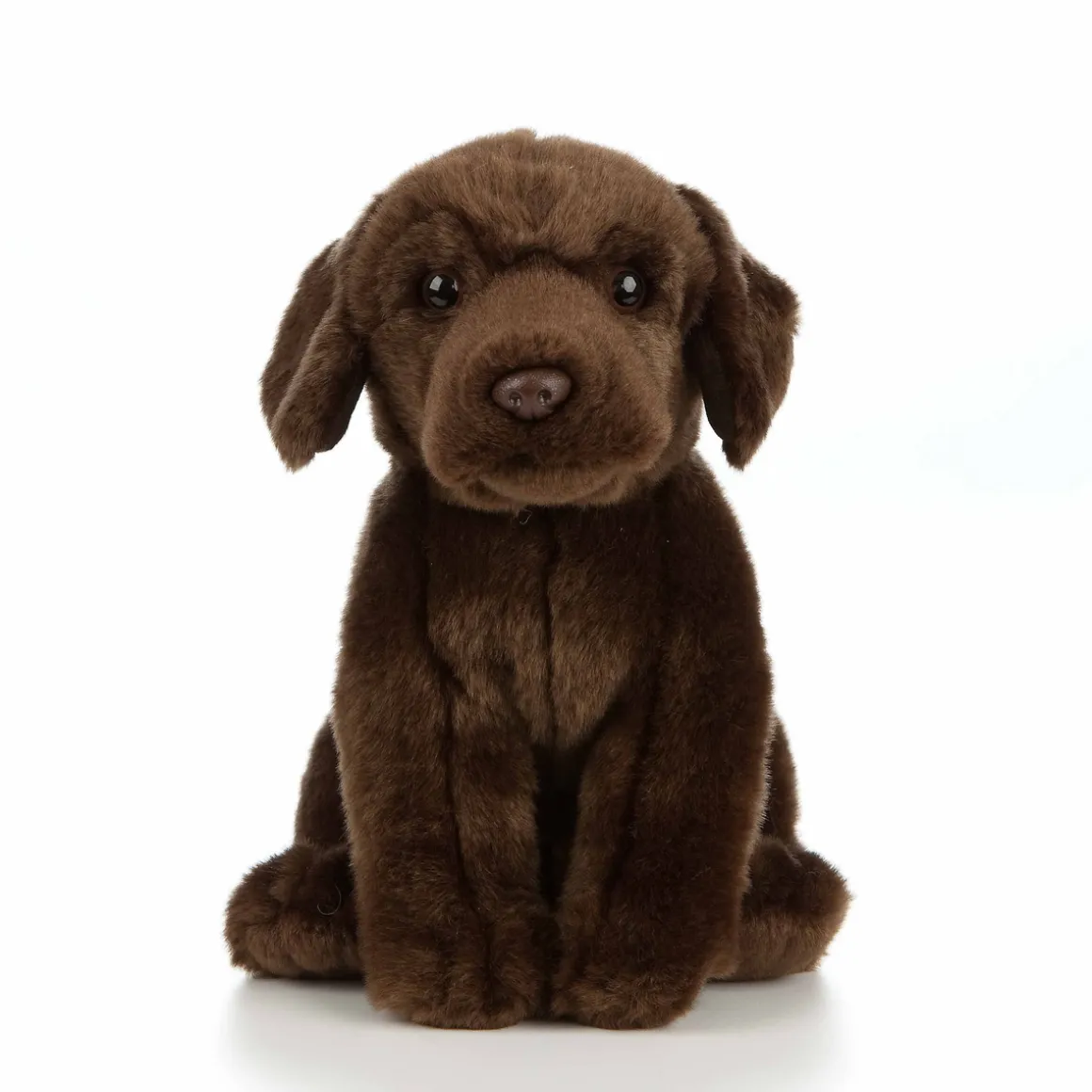 Krammedyr labrador