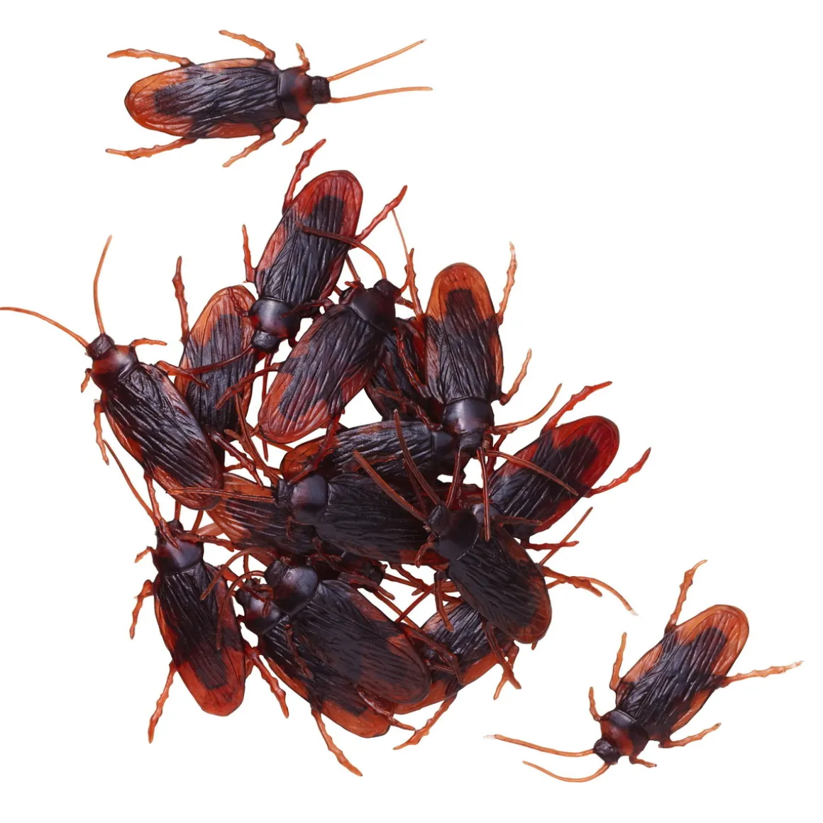 Kravlende kakerlakker til halloween, 18 stk. L: 4,5 cm B: 2 cm