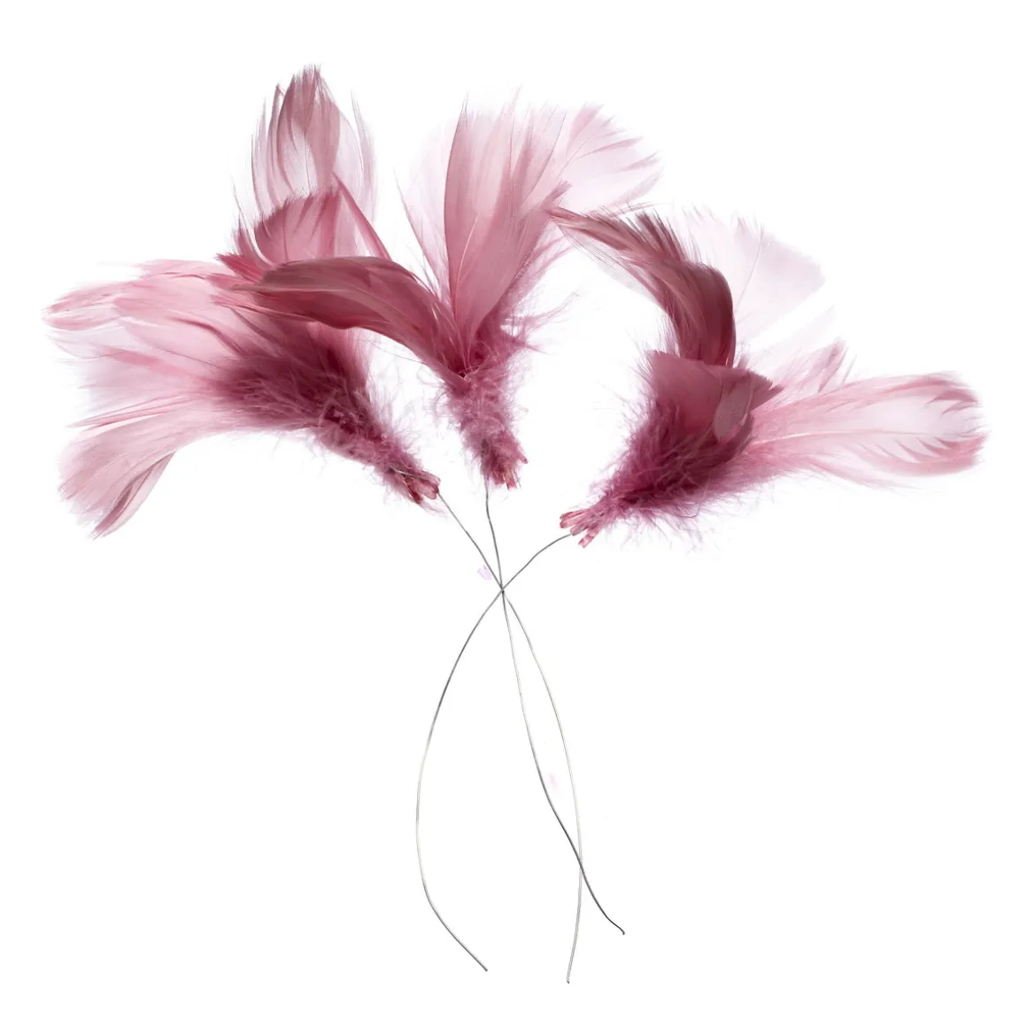 Magnoliafjer 12 stk. rosa