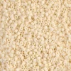MIYUKI Delica 11/0 creme m 5g – DB0762 Opaque Cream Matted