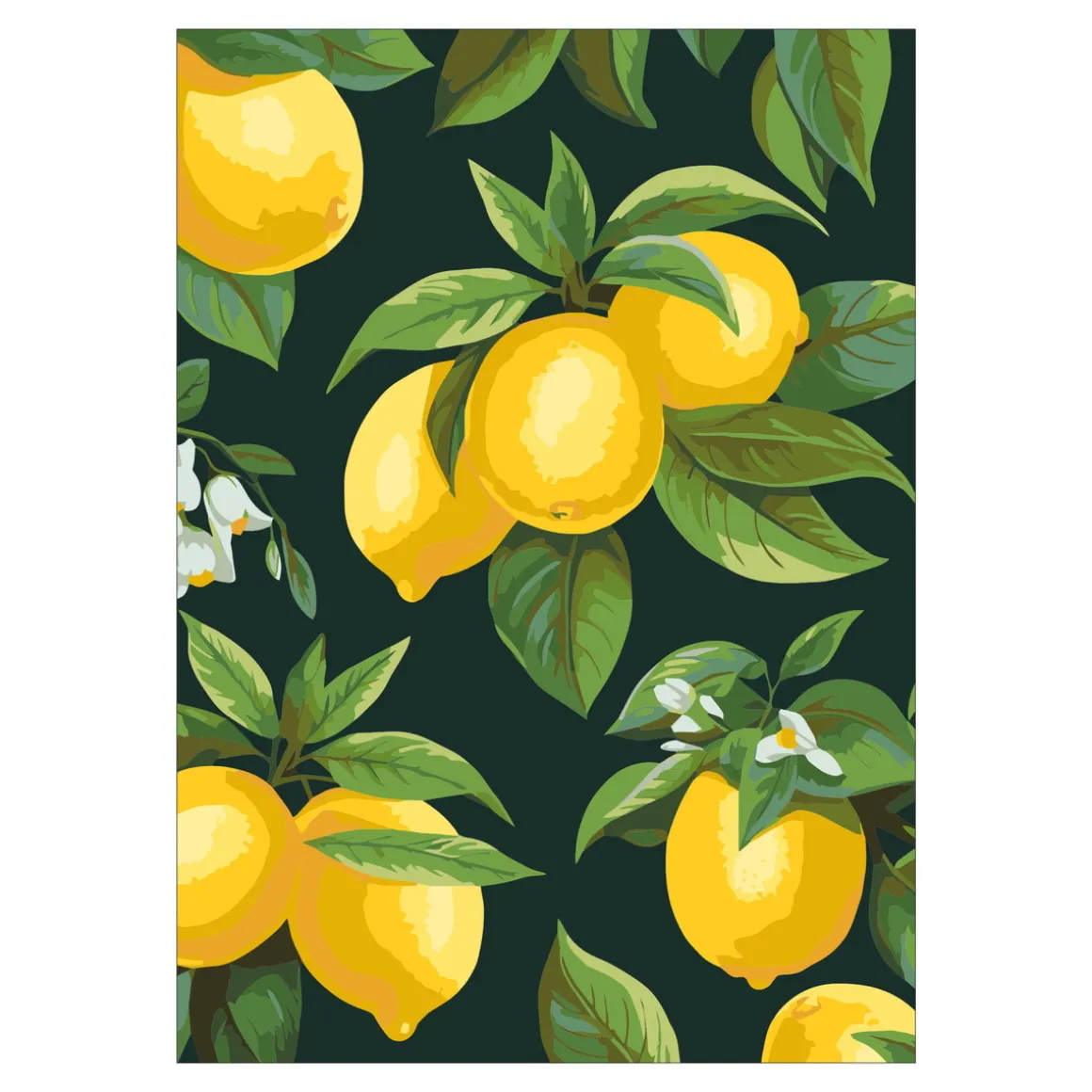 Paint by number/mal efter tal – citroner, 25×35 cm + 18 farver og 3 pensler