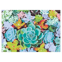 Paint by number/mal efter tal, – sukkulenter, 35×25 cm + 18 farver og 3 pensler