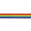 Rainbow ribbon 25 mm/4 m