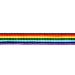 Rainbow ribbon 25 mm/4 m