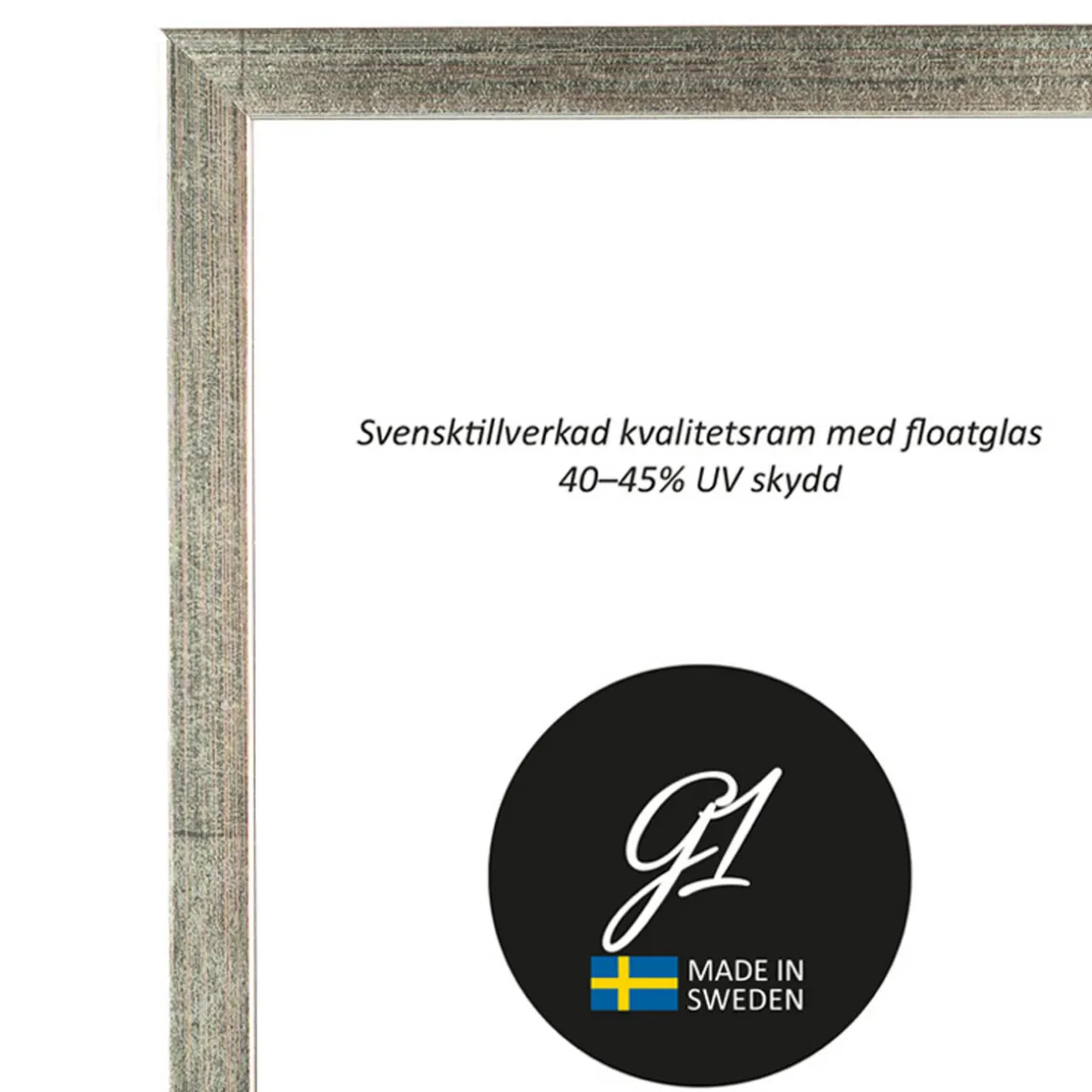 Ramme 2B Sølv 10x15 cm