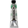 Rembrandt akrylfarve 40 ml Permanent Green Medium - 614