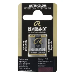 Rembrandt akvarelfarve half pan – Silver 800