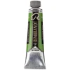 Rembrandt oliefarve 40 ml Cinnabar Green Medium - 625