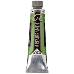 Rembrandt oliefarve 40 ml Cinnabar Green Medium - 625