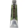 Rembrandt oliefarve 40 ml Sap Green - 623