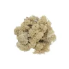 Rensdyrlav 100 g.