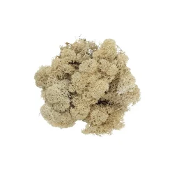 Rensdyrlav 100 g.