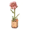 Rolife DIY Wooden Flower 3D-puslespil træblomst TW041 Pink Rose 85×65×210 mm