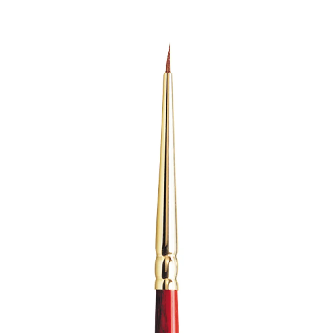 Sceptre Gold 101-0000 akvarel
