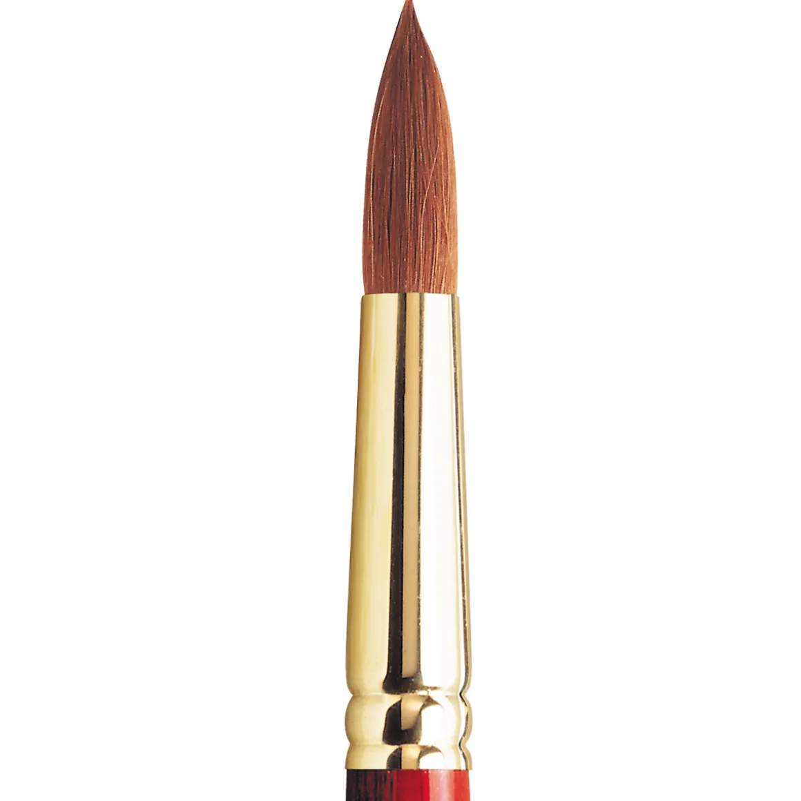 Sceptre Gold 101-16 akv.pens