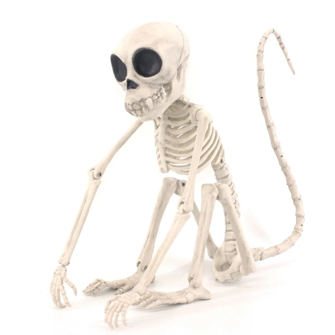 Skelet Abe