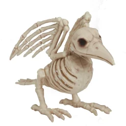 Skelet af en meget død fugl/ravn. Højde 19 cm.