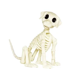 Skelet af en sød hund med bevægeligt hoved! 21×17×6,5 cm