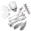Skeletdele i plast 12 stk. knoglerdele bl.a. kranium, lårben og fødder