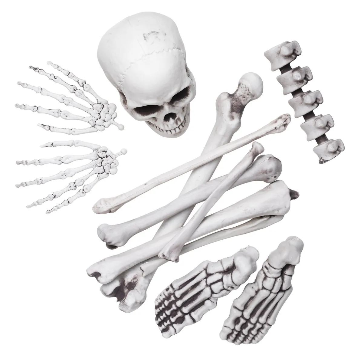 Skeletdele i plast 12 stk. knoglerdele bl.a. kranium, lårben og fødder