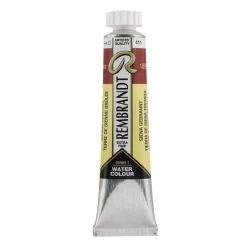 Water col 20ml Burnt sienna