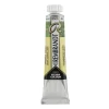 Water col 20ml Sparkle green