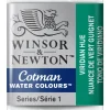 Winsor & Newton Cotman akvarelfarve half pan – Viridian Hue 696