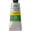 Winsor & Newton Galeria akrylfarve 60 ml Sap Green 599