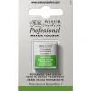 Winsor & Newton Professional akvarelfarve half pan Permanent Sap Green 503