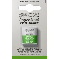 Winsor & Newton Professional akvarelfarve half pan Permanent Sap Green 503