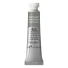 Winsor & Newton Professional akvarelfarve 5 ml Davy'S Grey 217