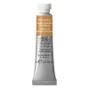 Winsor & Newton Professional akvarelfarve 5 ml Raw Umber 554