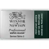 Winsor & Newton Professional akvarelfarve 1/1 pan Perylene Green 460