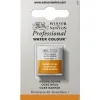 Winsor & Newton Professional akvarelfarve half pan Brown Ochre 059